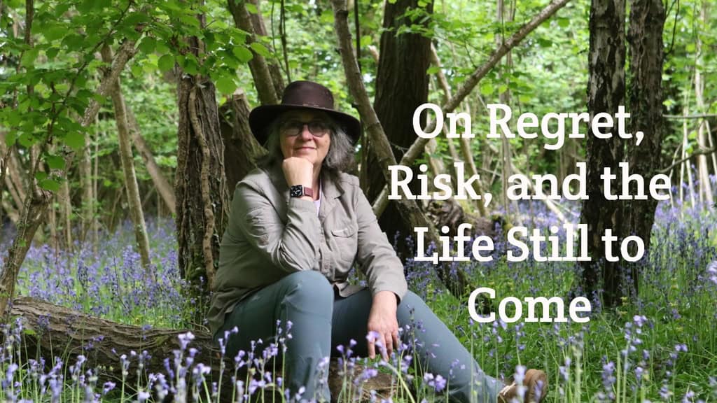 On Regret, Risk, and the Life Still to Come