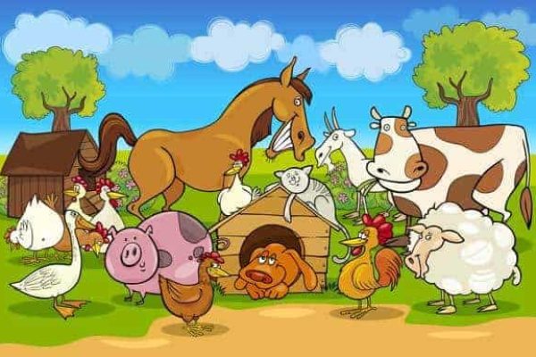 FarmAnimals-web