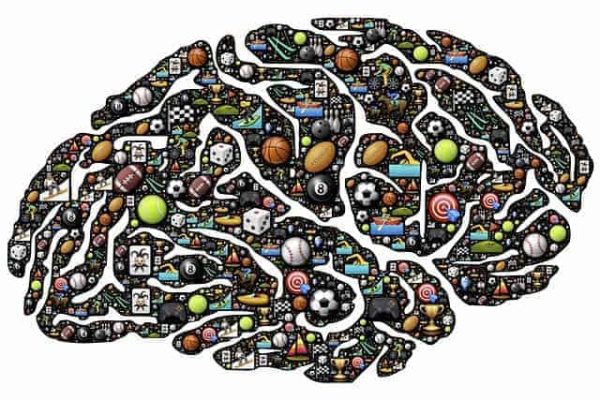 brain-954817_640