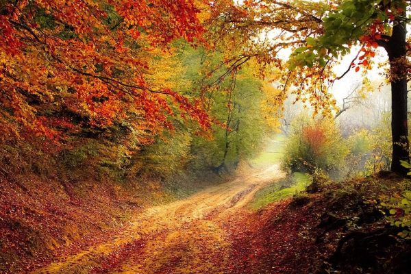 road-1072823_1280